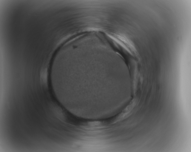 X0000089700108200707051650