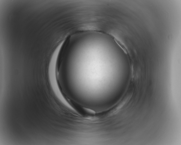 X0000089700109200707051650