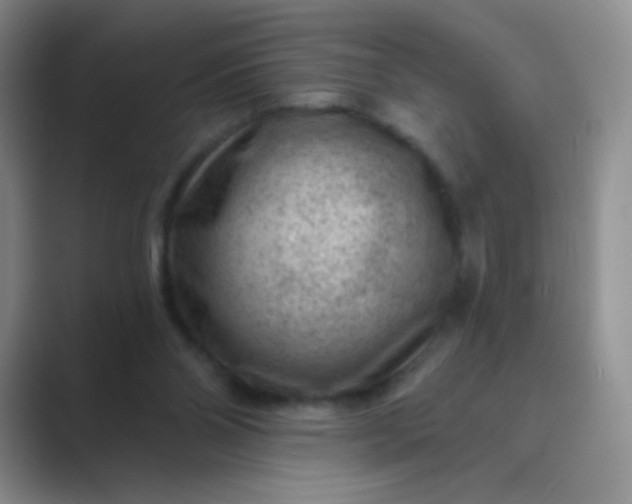 X0000089700110200707051650