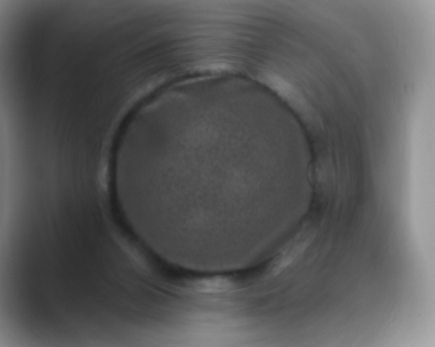 X0000089700112200707051650