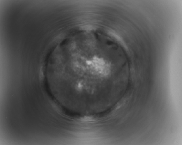 X0000089700114200707051650