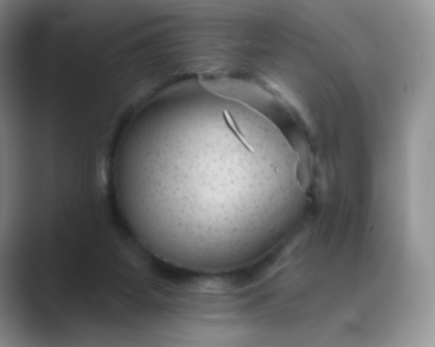 X0000089700115200707051650