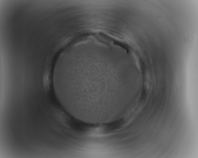 X0000089700116200707051650