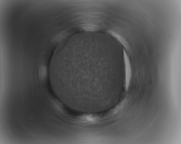 X0000089700117200707051650