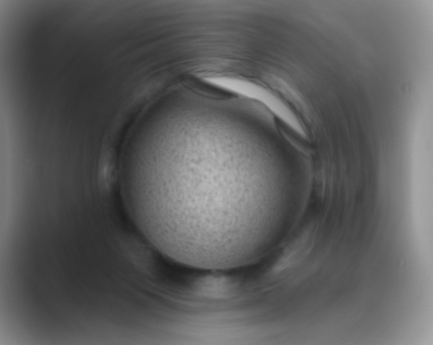 X0000089700119200707051650