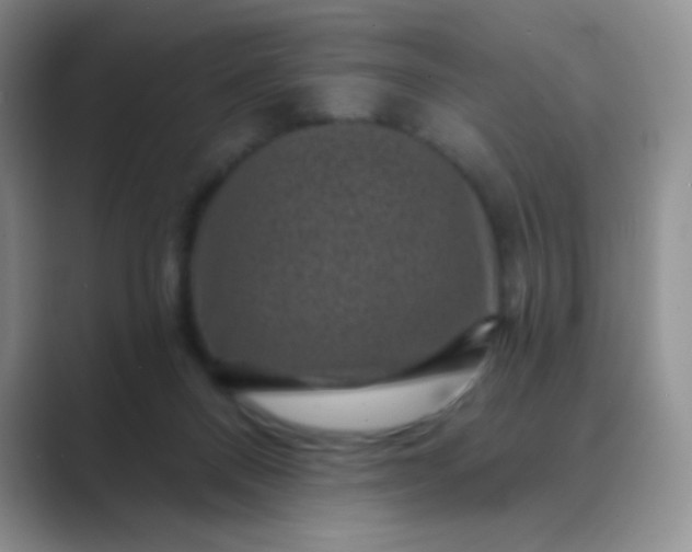 X0000089700120200707051650