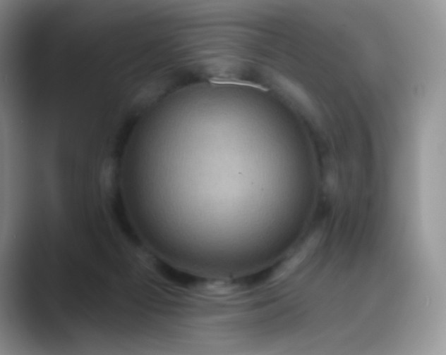 X0000089700121200707051650