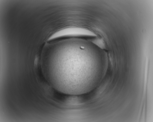 X0000089700123200707051650