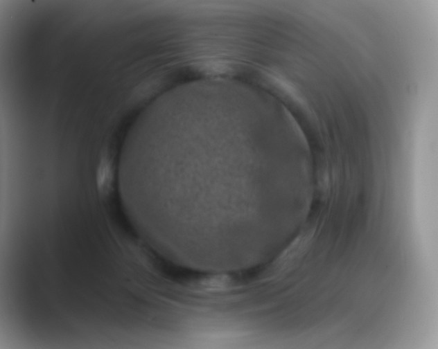 X0000089700124200707051650