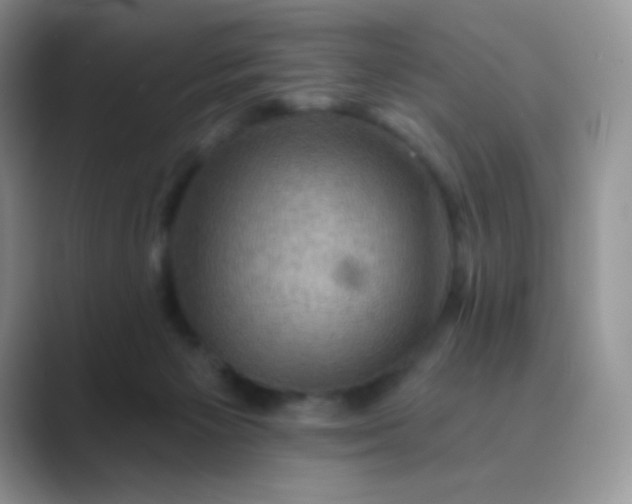 X0000089700125200707051650