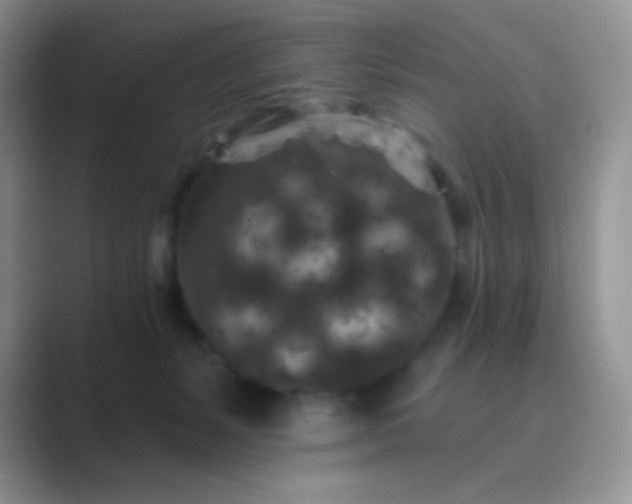 X0000089700127200707051650