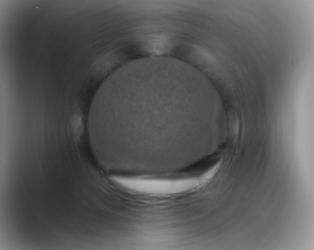 X0000089700128200707051650