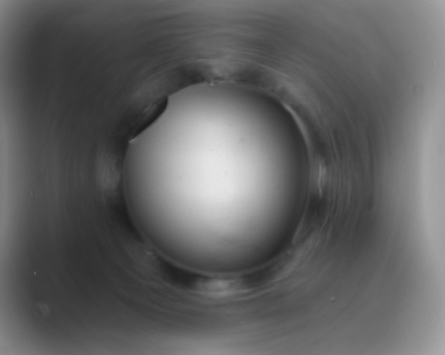 X0000089700129200707051650