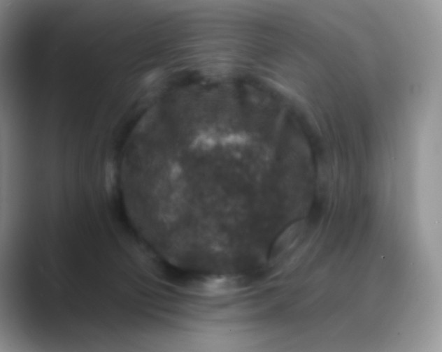 X0000089700130200707051650