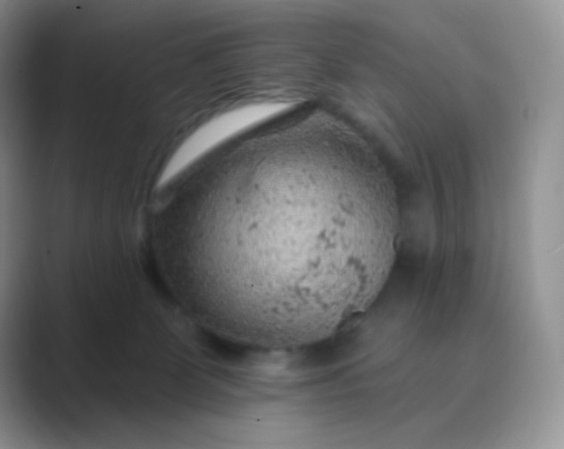 X0000089700131200707051650