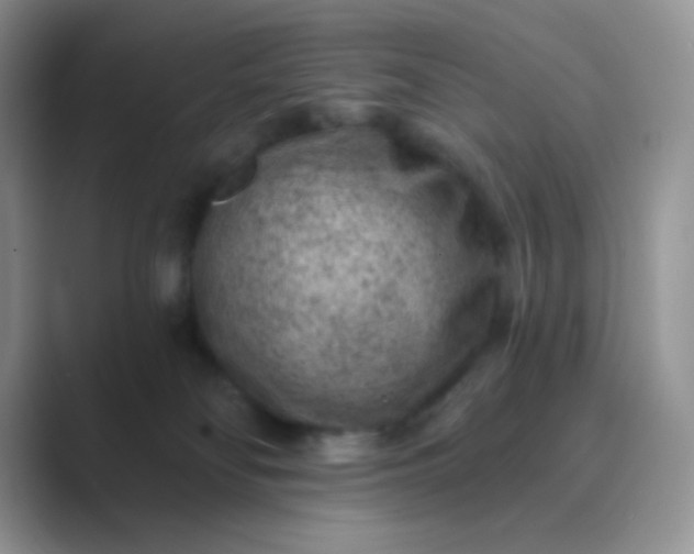 X0000089700134200707051650