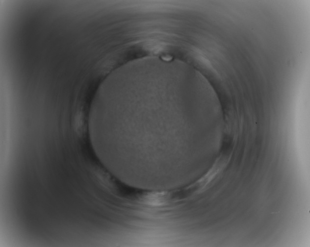 X0000089700136200707051650