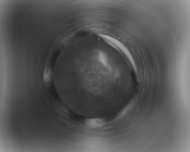 X0000089700137200707051650