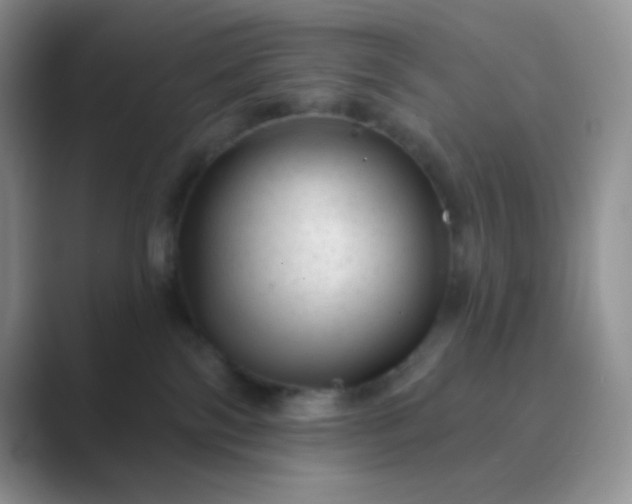 X0000089700138200707051650