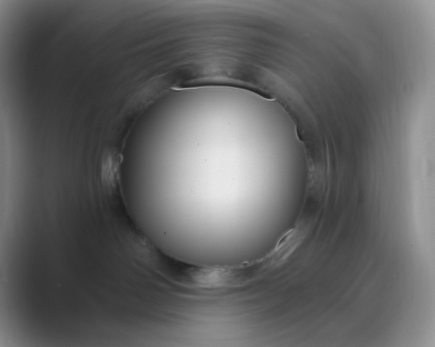 X0000089700142200707051650