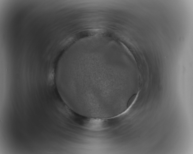 X0000089700144200707051650