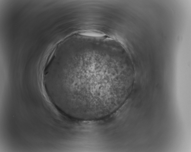 X0000089700145200707051650