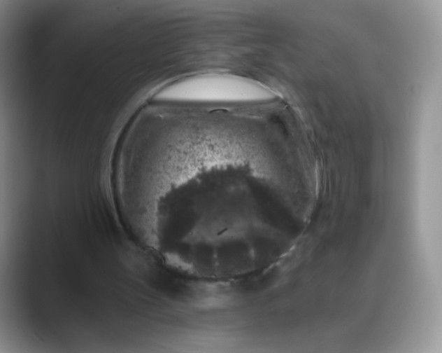 X0000089700147200707051650