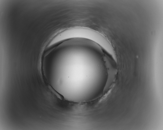 X0000089700148200707051650