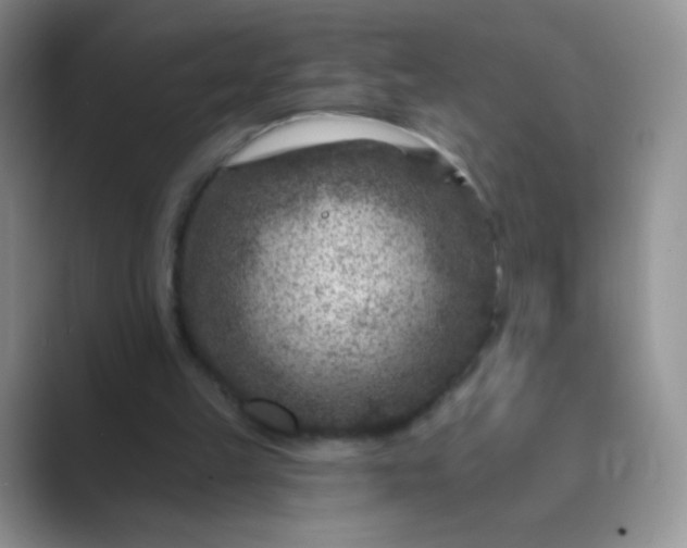 X0000089700149200707051650