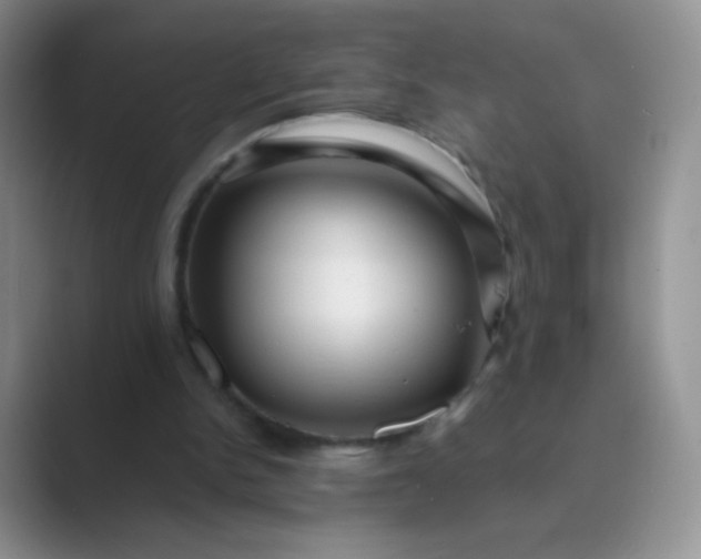 X0000089700150200707051650