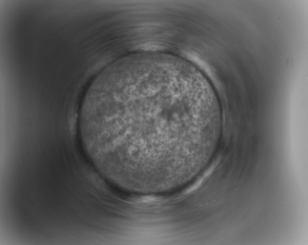 X0000089700153200707051650