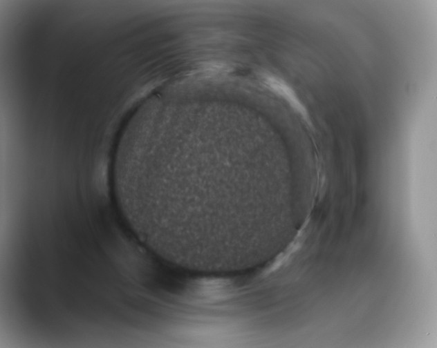 X0000089700154200707051650