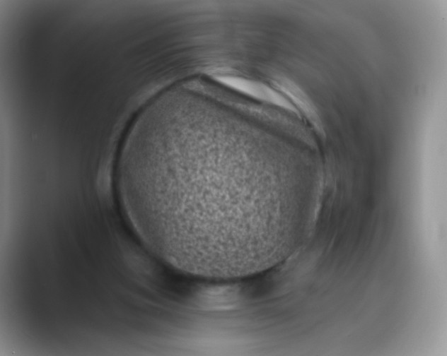 X0000089700155200707051650