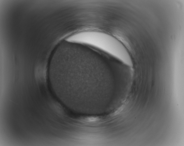 X0000089700156200707051650