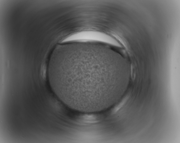 X0000089700157200707051650