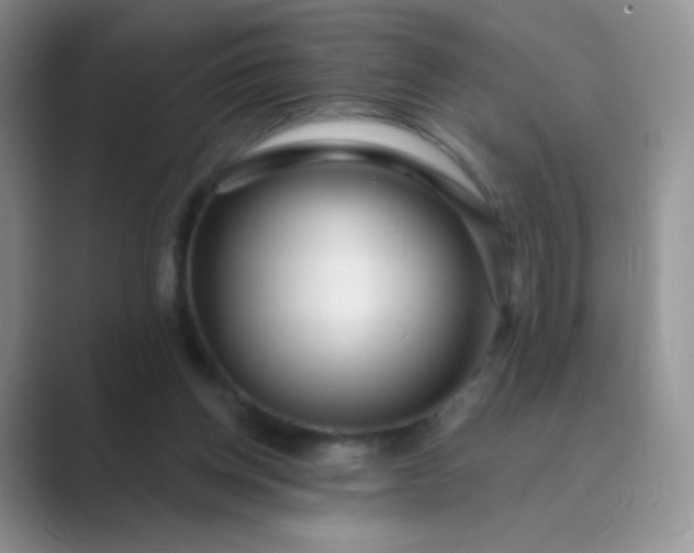 X0000089700158200707051650