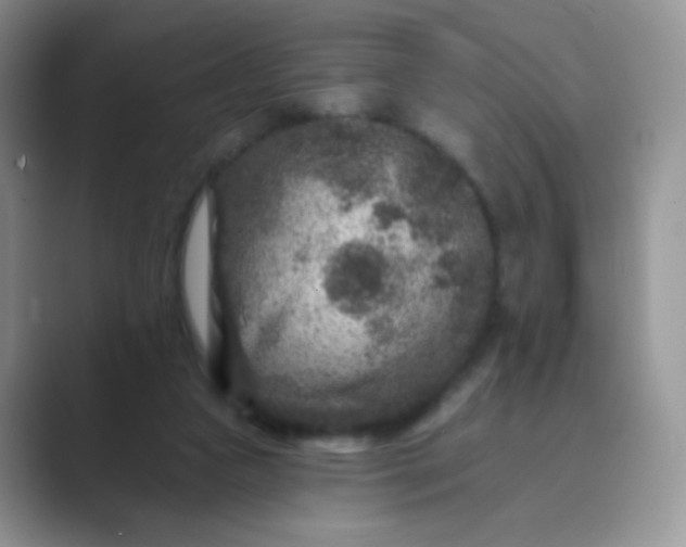 X0000089700161200707051650