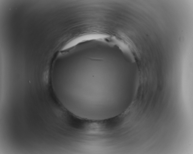 X0000089700163200707051650