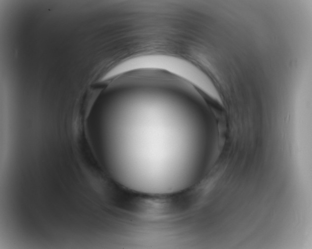 X0000089700164200707051650