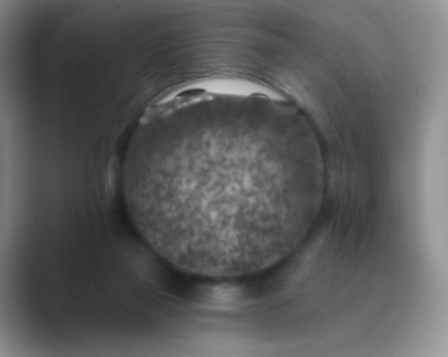 X0000089700165200707051650