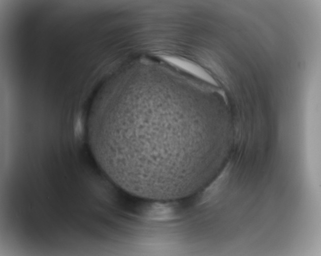 X0000089700166200707051650