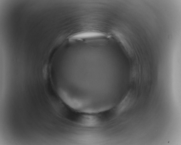 X0000089700167200707051650