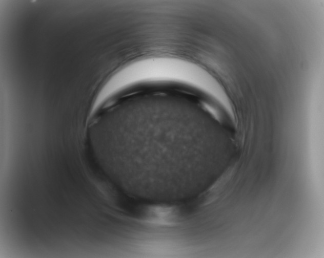 X0000089700168200707051650