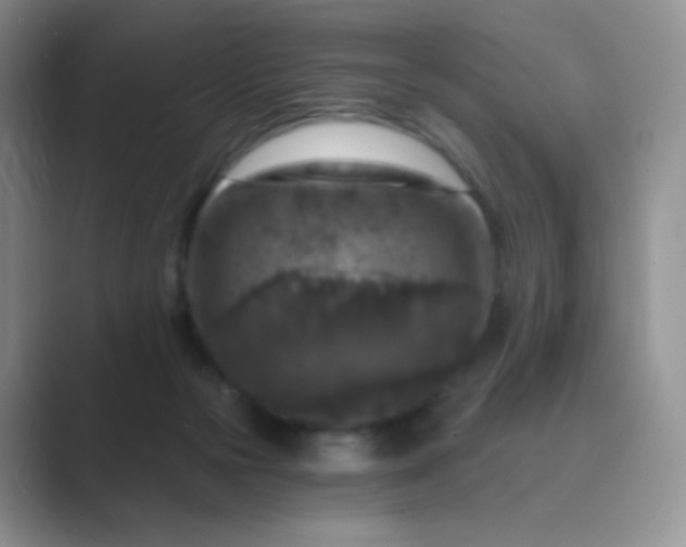 X0000089700169200707051650