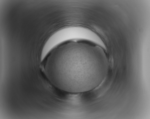 X0000089700170200707051650