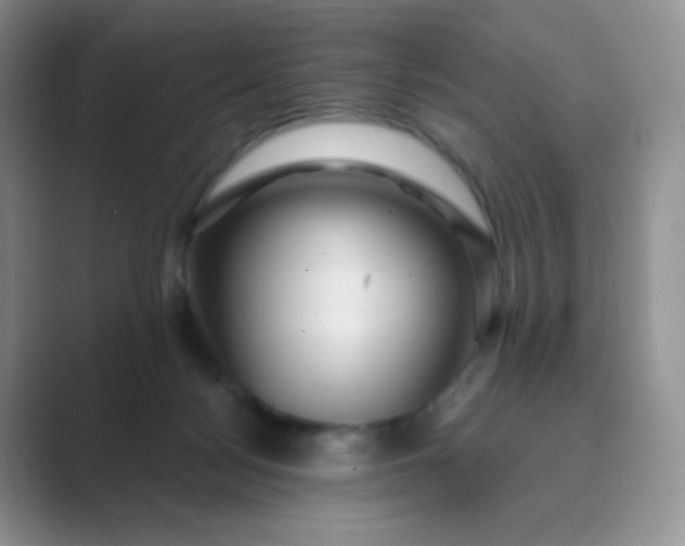 X0000089700172200707051650