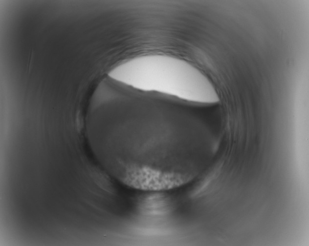 X0000089700173200707051650