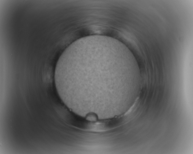 X0000089700174200707051650