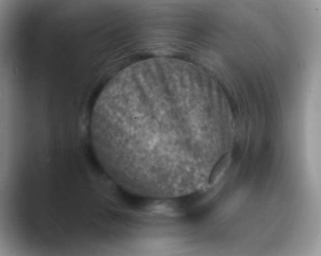 X0000089700175200707051650