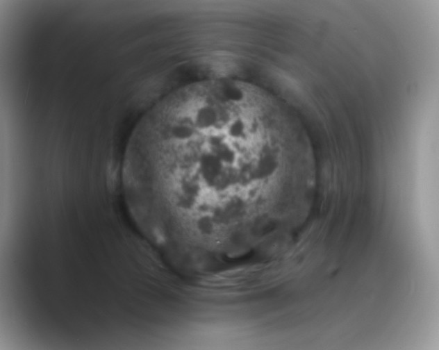 X0000089700177200707051650